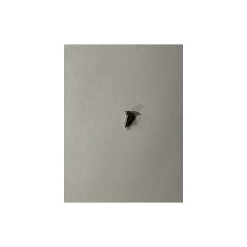 Headlight Trim Screw