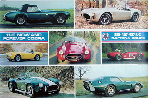 Cobras Now and Forever Poster