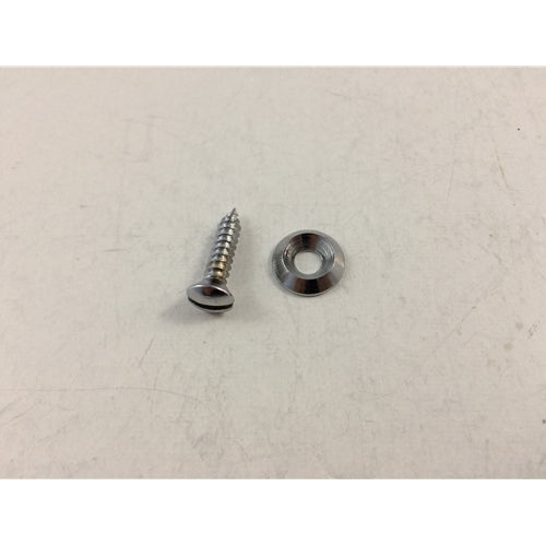 Trim Chrome Dash Screw & Washer