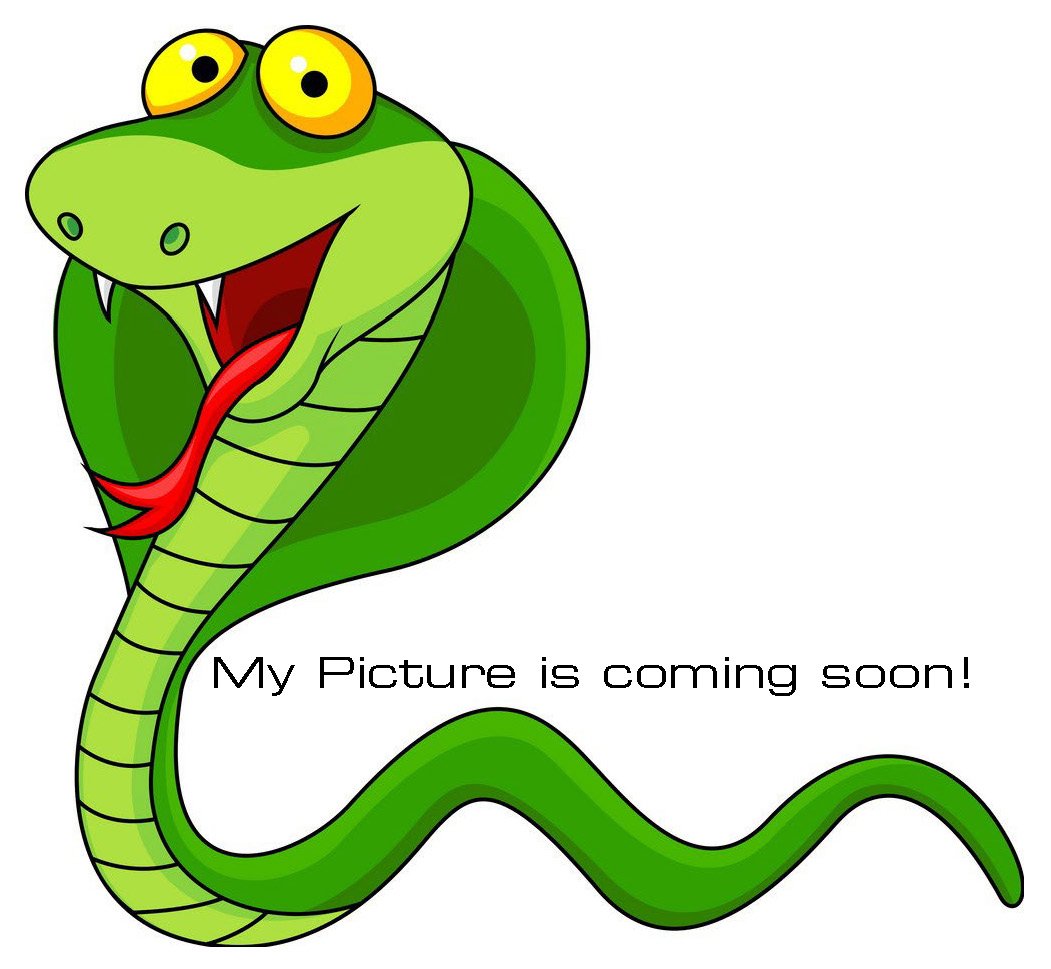 Brake .875 Alloy Master Cylinder CV-NP (PB200)